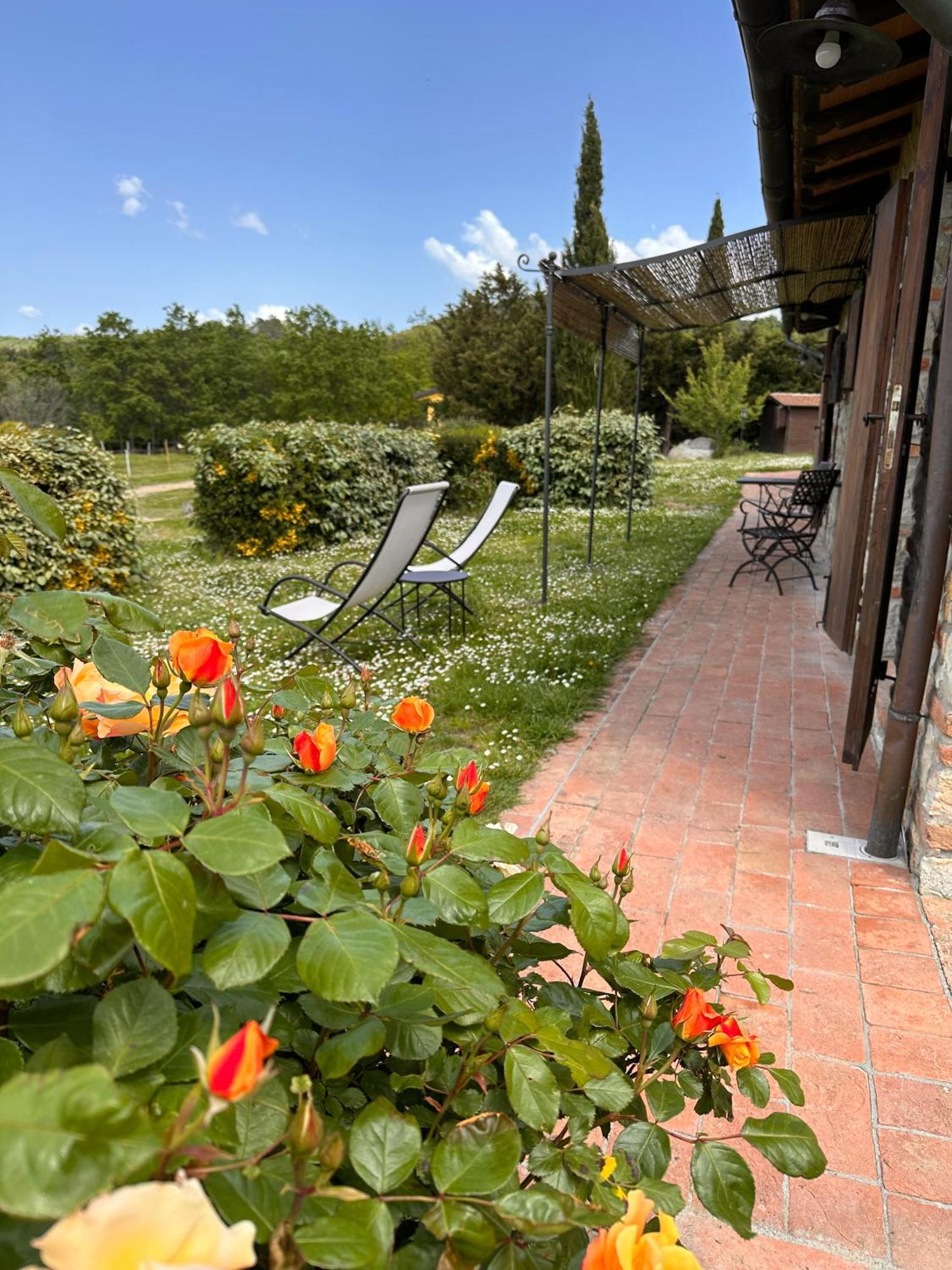 La Vitaverde Agriturismo Santa Luce Exterior foto